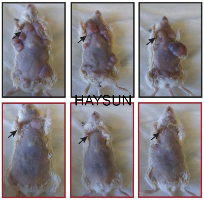 图片关键词 screen-shot-2018-02-01-at-2-57-40-pm.png