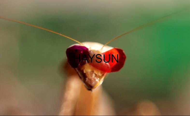 1518321106332007.png 图片1.png