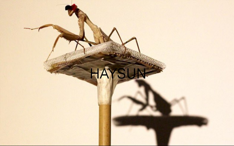 1518321120755850.png 图片2.png