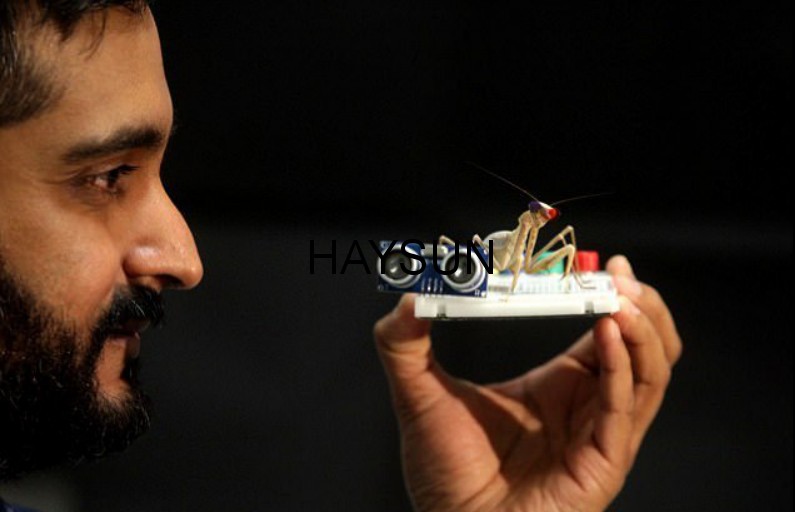 1518321133384818.png 图片3.png