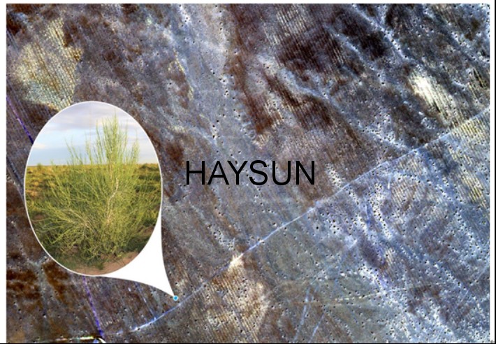 1519365813406918.png 图片24.png