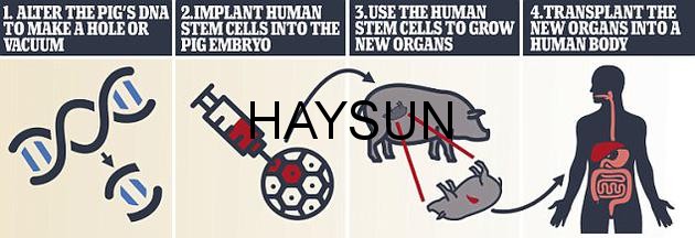 1519785064231409.jpg 5a6ad2fd4440662.jpg