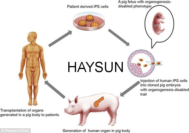 图片关键词 1.jpg