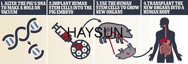 图片关键词 2.jpg