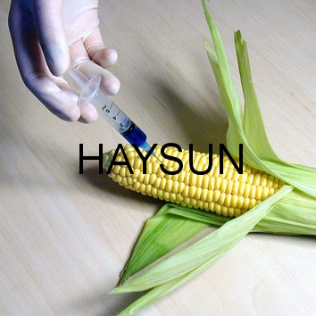 图片关键词 3553723626_19e66c550b.jpg