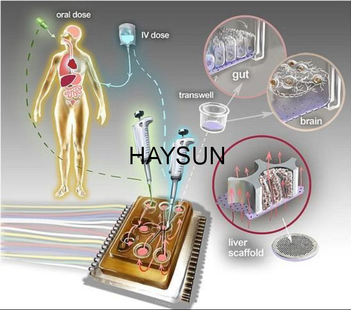 1521195493701818.png 图片32.png