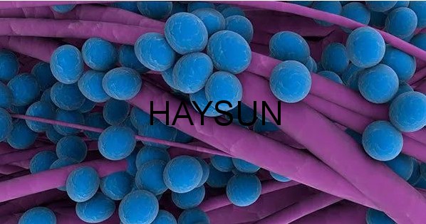 1521683762195247.png 2a3ef264d82ab6c.png