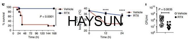 1521683799576595.png e28ddb55da1f8e7.png