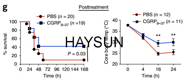 1521683839915300.png 5.png