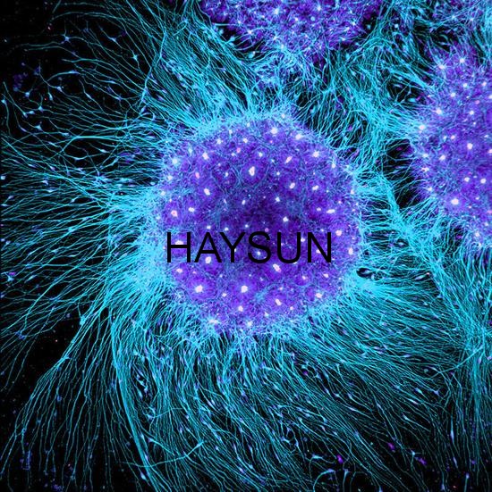 1522807142931061.jpg 2459980d8747634.jpg