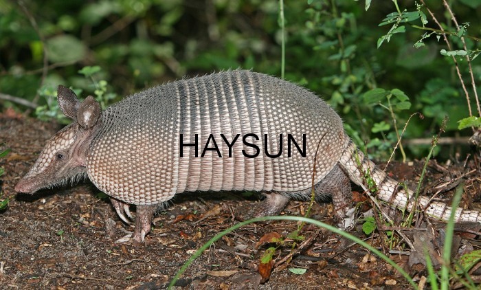 1523152811852739.jpg c3d0ca8d74954b6.jpg