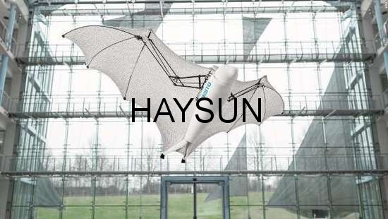 1524879689305914.jpg 5.jpg