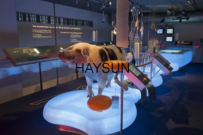 1527663307827614.jpg 1.jpg